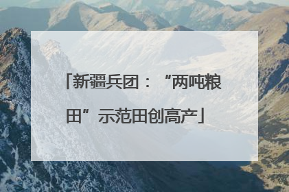 新疆兵团：“两吨粮田”示范田创高产