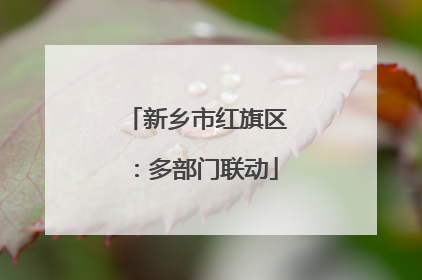 新乡市红旗区：多部门联动