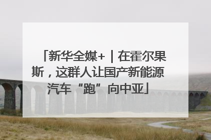 新华全媒+｜在霍尔果斯，这群人让国产新能源汽车“跑”向中亚