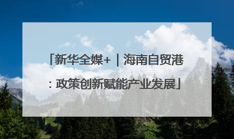 新华全媒+｜海南自贸港：政策创新赋能产业发展