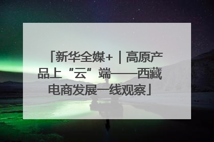 新华全媒+｜高原产品上“云”端——西藏电商发展一线观察