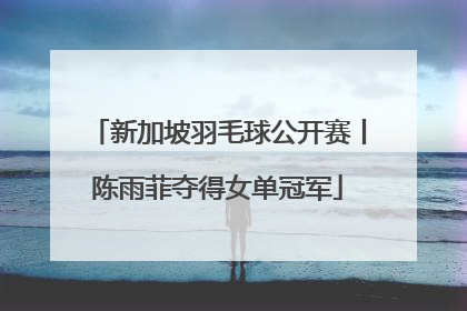 新加坡羽毛球公开赛丨陈雨菲夺得女单冠军