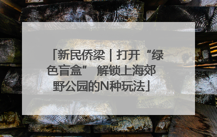 新民侨梁｜打开“绿色盲盒” 解锁上海郊野公园的N种玩法