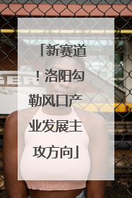 新赛道！洛阳勾勒风口产业发展主攻方向