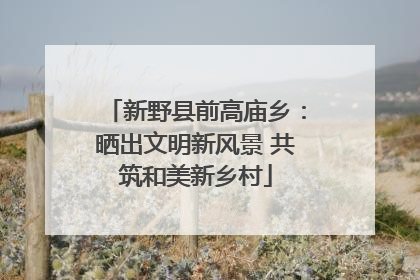 新野县前高庙乡：晒出文明新风景 共筑和美新乡村