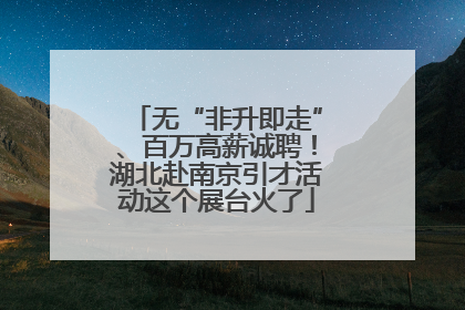 无“非升即走”、百万高薪诚聘！湖北赴南京引才活动这个展台火了