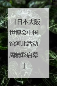 日本大阪世博会中国馆河北活动周精彩启幕