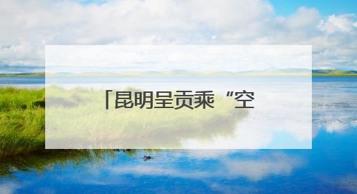 昆明呈贡乘“空”而上 逐梦低空经济新蓝海