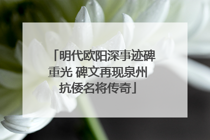 明代欧阳深事迹碑重光 碑文再现泉州抗倭名将传奇