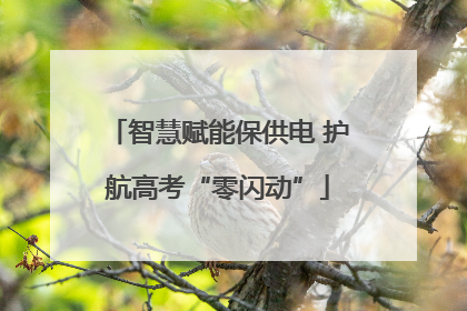 智慧赋能保供电 护航高考“零闪动”
