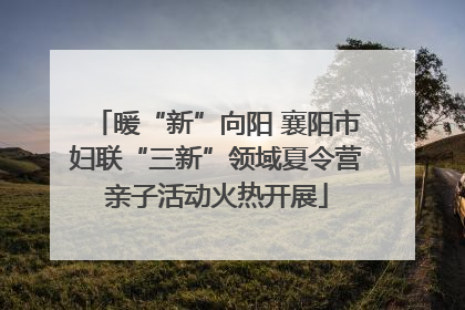 暖“新”向阳 襄阳市妇联“三新”领域夏令营亲子活动火热开展