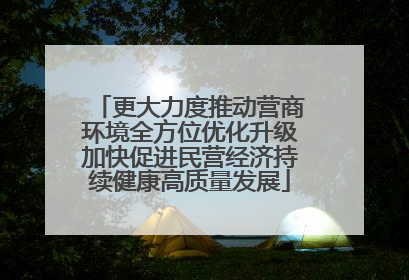 更大力度推动营商环境全方位优化升级加快促进民营经济持续健康高质量发展