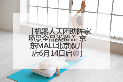 机器人天团助阵家场景全品类覆盖 京东MALL北京双井店6月14日启幕