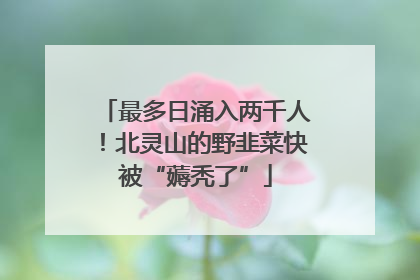 最多日涌入两千人！北灵山的野韭菜快被“薅秃了”