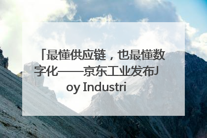 最懂供应链，也最懂数字化——京东工业发布Joy Industrial 重塑工业未来