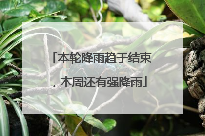 本轮降雨趋于结束，本周还有强降雨