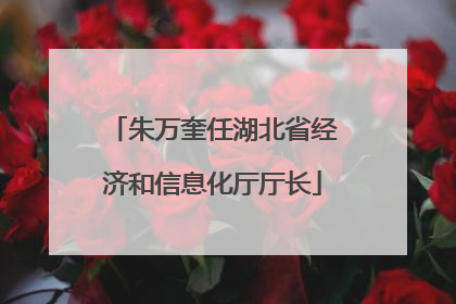 朱万奎任湖北省经济和信息化厅厅长
