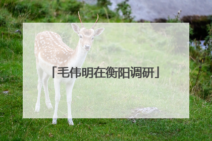 毛伟明在衡阳调研