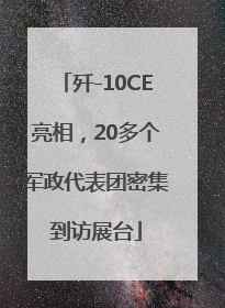 歼-10CE亮相，20多个军政代表团密集到访展台