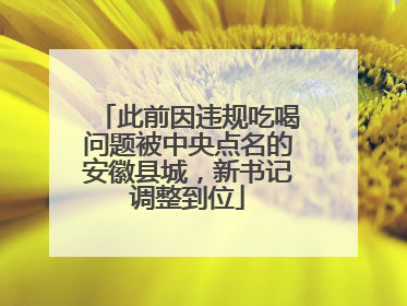 此前因违规吃喝问题被中央点名的安徽县城，新书记调整到位