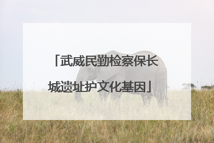 武威民勤检察保长城遗址护文化基因