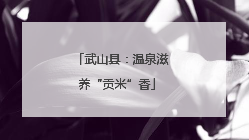武山县：温泉滋养“贡米”香