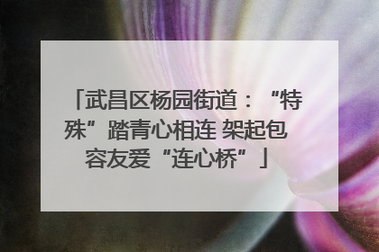 武昌区杨园街道：“特殊”踏青心相连 架起包容友爱“连心桥”