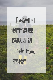 武昌国潮手语舞蹈队走进“夜上黄鹤楼”