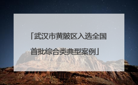 武汉市黄陂区入选全国首批综合类典型案例