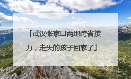 武汉张家口两地跨省接力，走失的孩子回家了