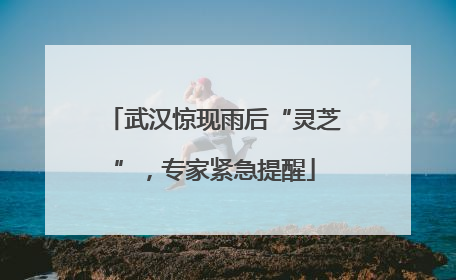 武汉惊现雨后“灵芝”，专家紧急提醒