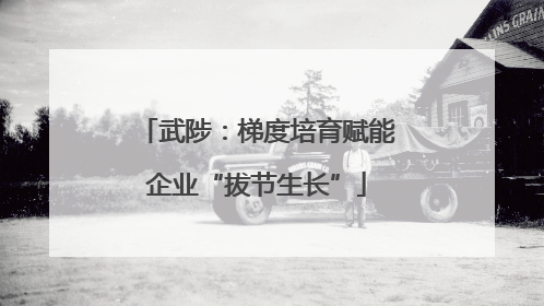 武陟：梯度培育赋能企业“拔节生长”