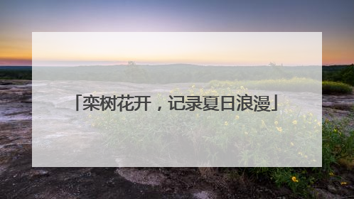 栾树花开，记录夏日浪漫