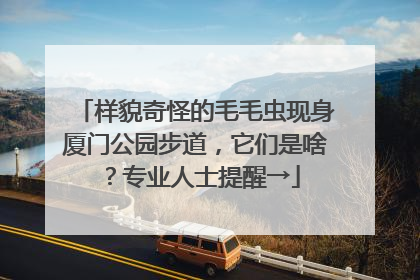 样貌奇怪的毛毛虫现身厦门公园步道，它们是啥？专业人士提醒→
