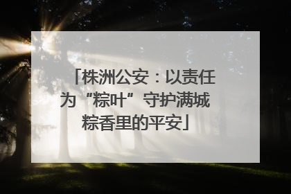 株洲公安：以责任为“粽叶”守护满城粽香里的平安
