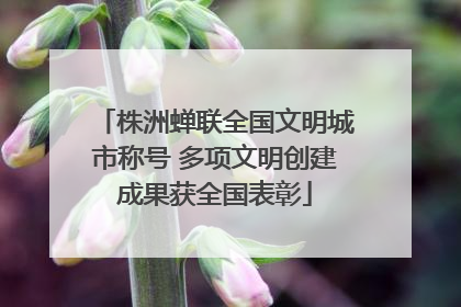 株洲蝉联全国文明城市称号 多项文明创建成果获全国表彰