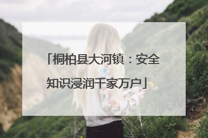 桐柏县大河镇：安全知识浸润千家万户