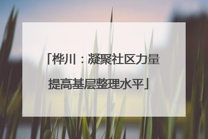桦川：凝聚社区力量 提高基层整理水平