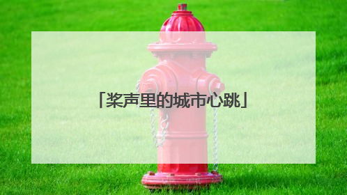 桨声里的城市心跳