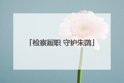 检察履职 守护朱鹮