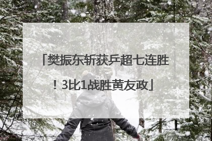 樊振东斩获乒超七连胜！3比1战胜黄友政