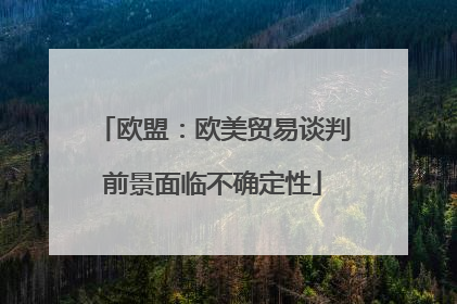 欧盟：欧美贸易谈判前景面临不确定性