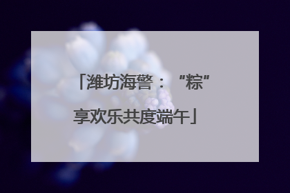 潍坊海警：“粽”享欢乐共度端午