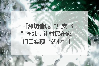 潍坊诸城“兵支书”李炜：让村民在家门口实现“就业”