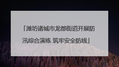 潍坊诸城市龙都街道开展防汛综合演练 筑牢安全防线