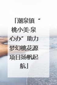 潮泉镇“桃小美·泉心办”助力梦幻桃花源项目扬帆起航