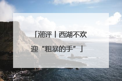 潮评丨西湖不欢迎“粗暴的手”