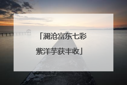 澜沧富东七彩紫洋芋获丰收