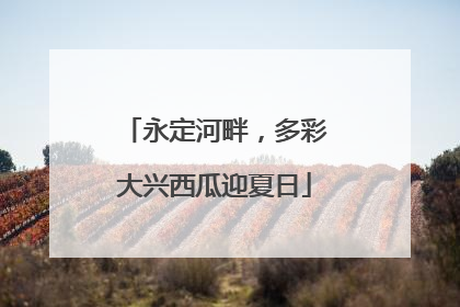 永定河畔，多彩大兴西瓜迎夏日