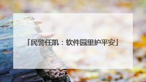 民警任凯：软件园里护平安